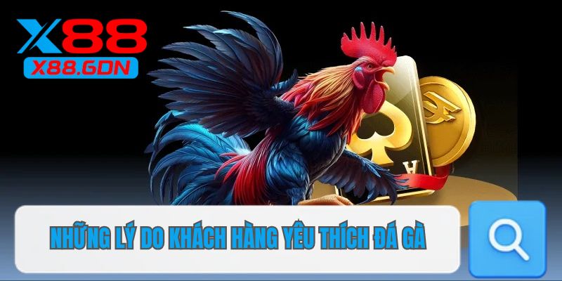 Những lý do khách hàng yêu thích đá gà